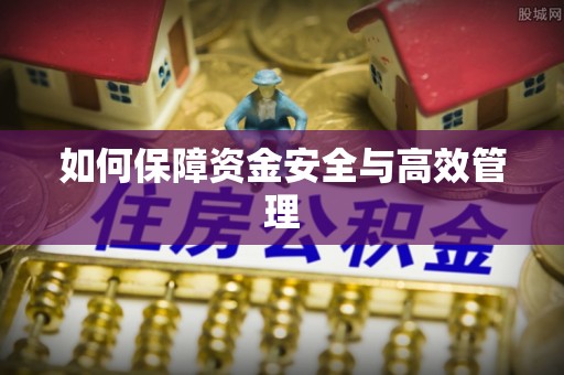 管城如何保障资金安全与高效管理