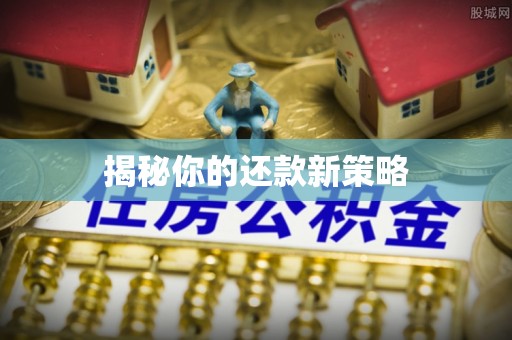 管城揭秘你的还款新策略