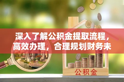 管城深入了解公积金提取流程，高效办理，合理规划财务未来
