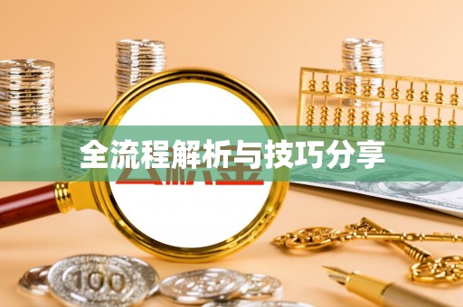 管城全流程解析与技巧分享